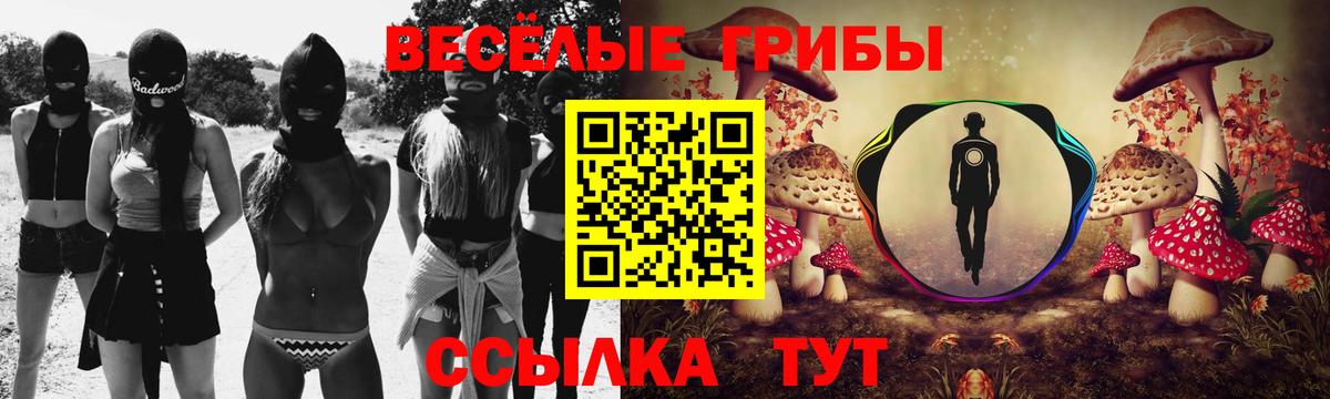 Псилоцибиновые грибы ЛСД Малгобек