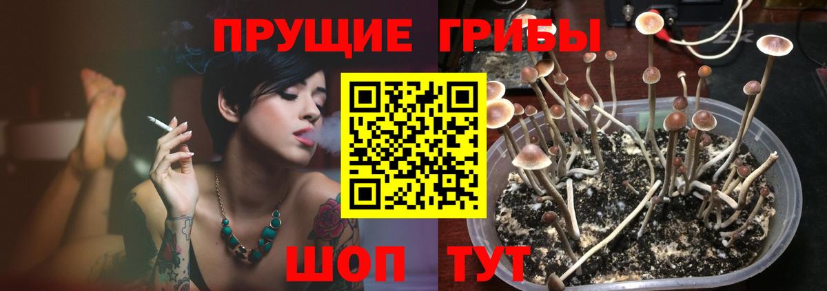 Псилоцибиновые грибы MAGIC MUSHROOMS  Вход с VPN  Малгобек 